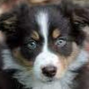 Meet your Posher, Jayden